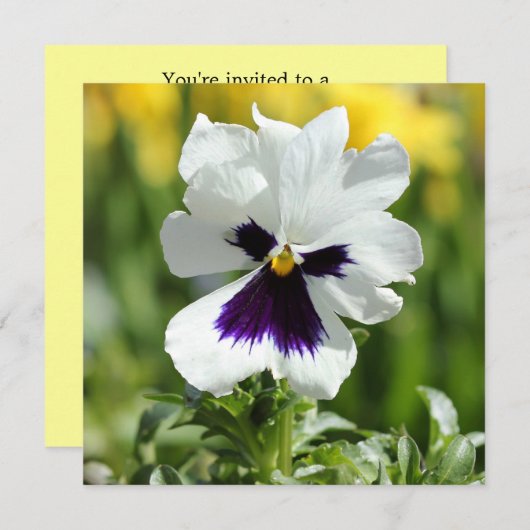 白と紫のパンジーブライダルシャワーの招待 招待状 (正面/裏面)