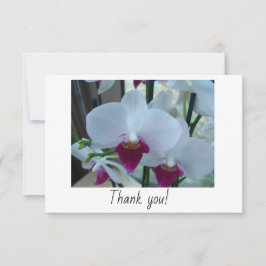 白と紫のランを持つサンキューカード サンキューカード