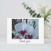 白と紫のランを持つサンキューカード サンキューカード (スタンド正面)