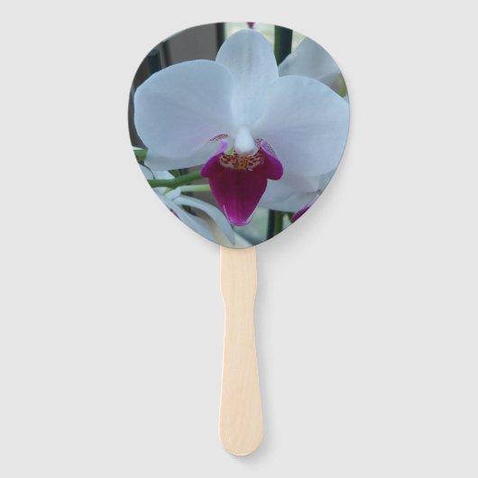 白と紫のランを持つファン ハンドファン (正面)