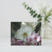 白と紫のラン (スタンド正面)