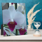 白と紫のラン フォトプラーク (側面)