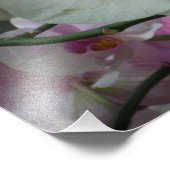 白と紫のラン フォトプリント            (角)