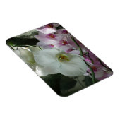 白と紫のラン マグネット (右側)