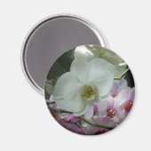 白と紫のラン マグネット (正面/裏面)