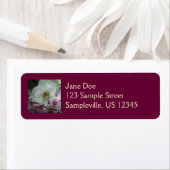 白と紫のラン ラベル (インサイチュ)