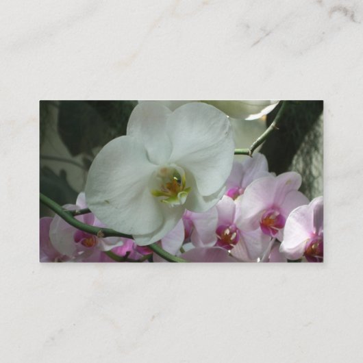 白と紫のラン 名刺 (裏面)