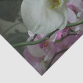 白と紫のラン 薄葉紙 (詳細)