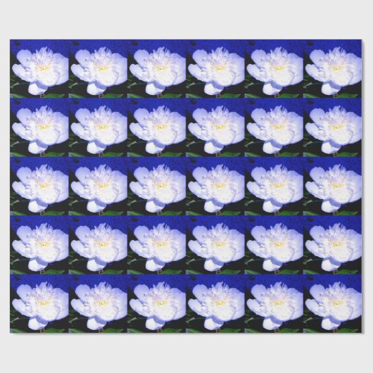 白と紫の牡丹の写真 ラッピングペーパー (フラット)