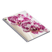 白と紫の異なる2つのラン ノートブック (右側)