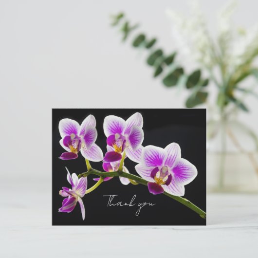白と紫の蘭ありがとうはがき ポストカード (スタンド正面)