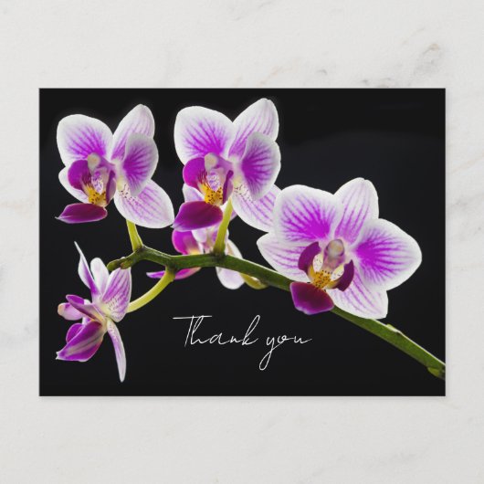 白と紫の蘭ありがとうはがき ポストカード (正面)