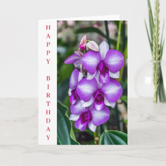 白と紫の蘭の誕生日カード カード (正面)
