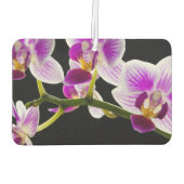 白と紫の蘭 カーエアーフレッシュナー (裏面)