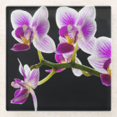 白と紫の蘭 ガラスコースター (正面)