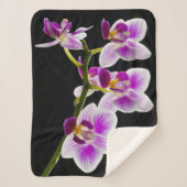 白と紫の蘭 シェルパブランケット (正面)