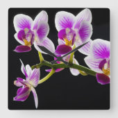 白と紫の蘭 スクエア壁時計 (正面)