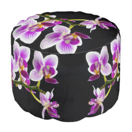 白と紫の蘭 プーフ