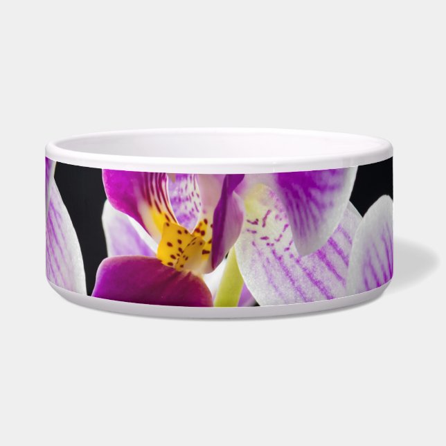 白と紫の蘭 ボウル (正面)