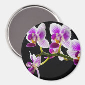 白と紫の蘭 マグネット (正面/裏面)