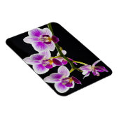 白と紫の蘭 マグネット (右側)