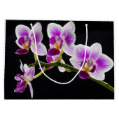 白と紫の蘭 ラージペーパーバッグ (裏面)