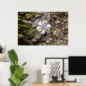 白と紫 ポスター (ホームオフィス)