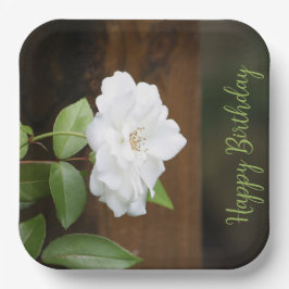 白と緑のエレガント四角 ペーパープレート