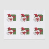 白と緑のギフトボックスとサンタハット 薄葉紙 (正面)