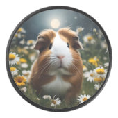 白と茶色のモルモットの月とデイジー アイスホッケーパック (正面)