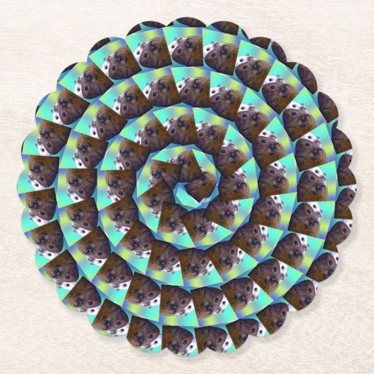 白と茶色の丸いモルモット柄 ペーパーコースター (正面)