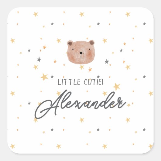 白と茶色の水色かわいい赤ちゃんシャワー スクエアシール (正面)