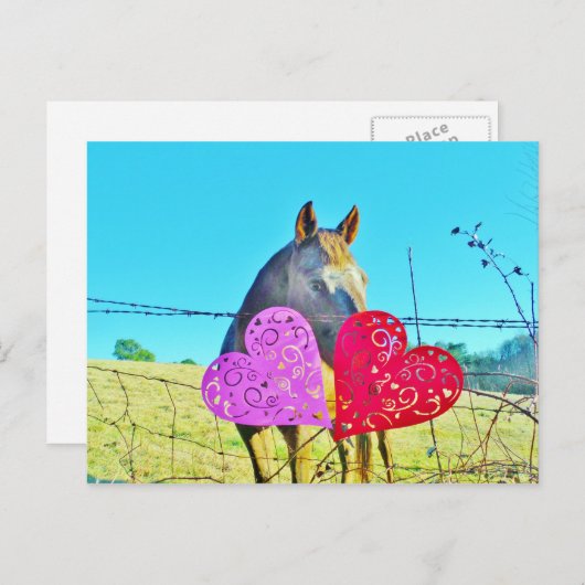 白と茶色の馬のバレンタインハート シーズンポストカード (正面/裏面)