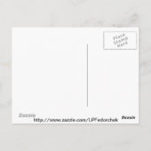 白と赤のバラ花びら葉書 ポストカード (裏面)