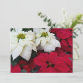 白と赤のポインセティアスIIクリスマスホリデー シーズンカード (スタンド正面)