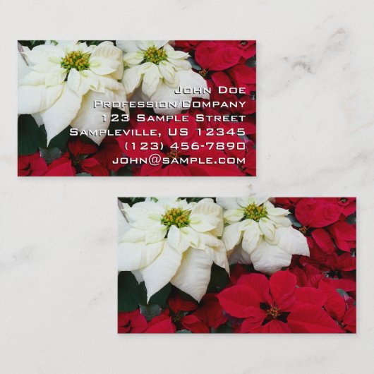 白と赤のポインセティアスIIクリスマスホリデー 名刺 (正面/裏面)