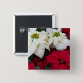 白と赤のポインセティアスIIクリスマスホリデー 缶バッジ (正面&裏面)
