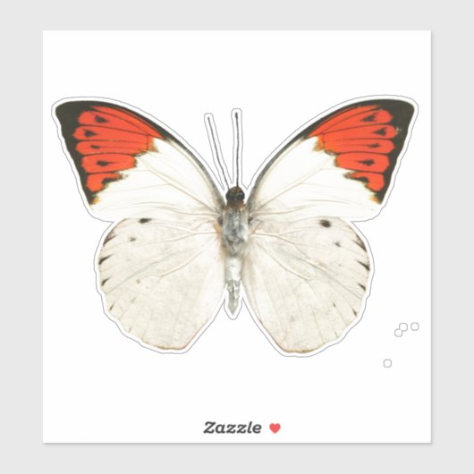 白と赤の蝶 シール (シート)