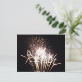 白と金ゴールド花火I愛国的お祝い (スタンド正面)