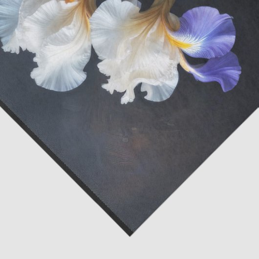 白と青の虹彩のデコページ 薄葉紙 (詳細)