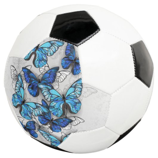 白と青の蝶の構成 サッカーボール (3/4)