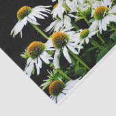 白と黄色のデイジーオン黒 薄葉紙 (詳細)