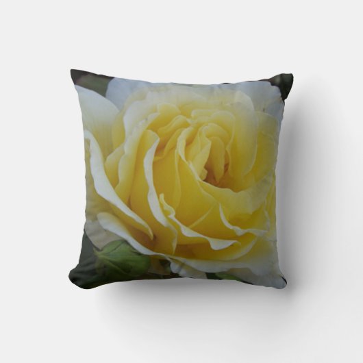 白と黄色のバラ クッション (正面)