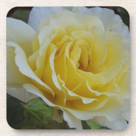 白と黄色のローズコースター コースター