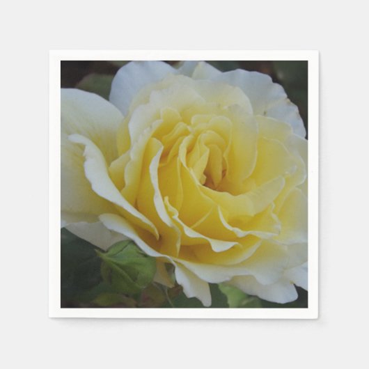 白と黄色のローズナプキン スタンダードカクテルナプキン (正面)