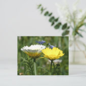白と黄色のワイルドフラワーDIYはがき シーズンポストカード (スタンド正面)