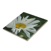 白と黄色の大きなデイジーの花 タイル (側面)