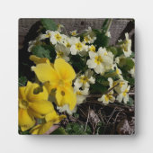 白と黄色の庭の花 フォトプラーク (正面)