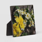 白と黄色の庭の花 フォトプラーク (正面)