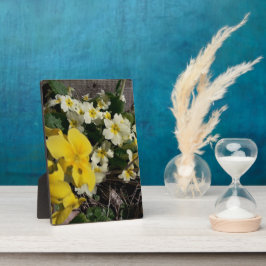 白と黄色の庭の花 フォトプラーク